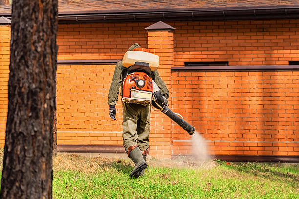 Trusted Bed Bug Control service in Gatlinburg, TN - Nex Pest Control